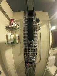 The Sensoria (D27), Condominium #232964051